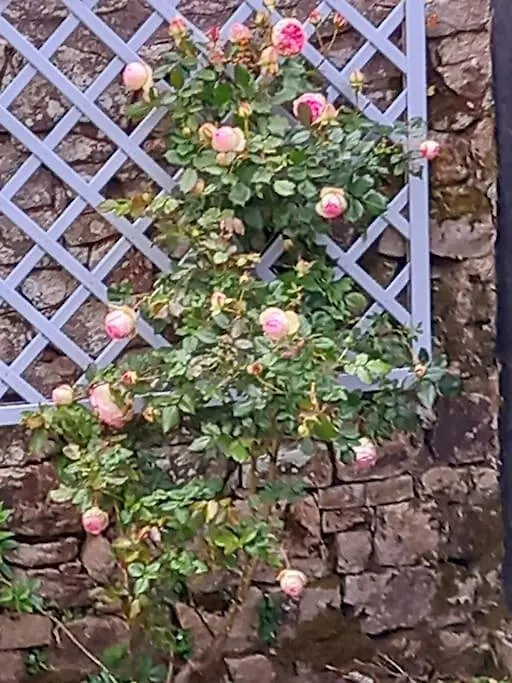 Holiday home * L'Elegante Carnacoise, Wifi, Proche Commerces *
